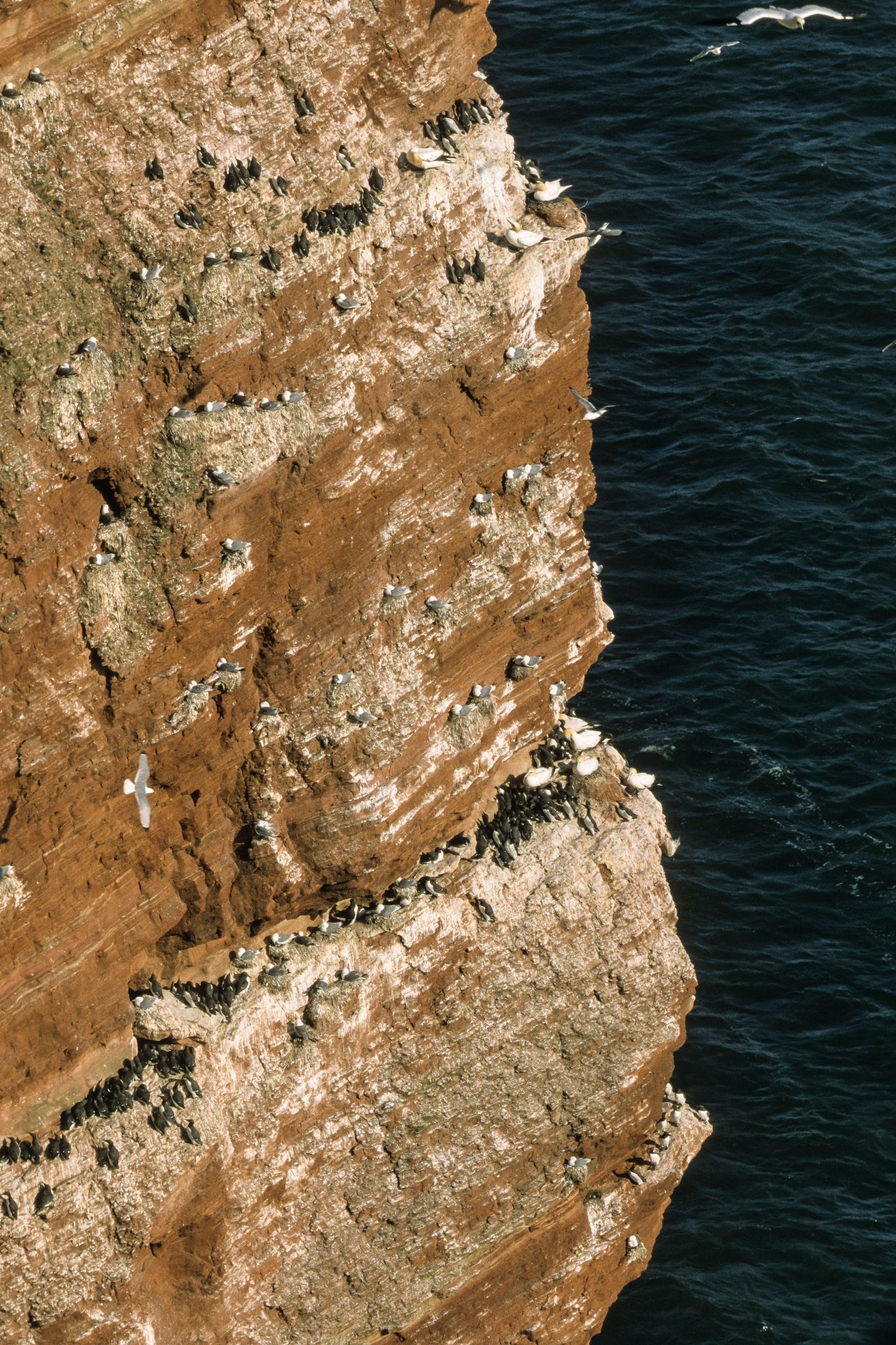 501 2002 2h Helgoland show 0005